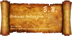 Baksay Meluzina névjegykártya